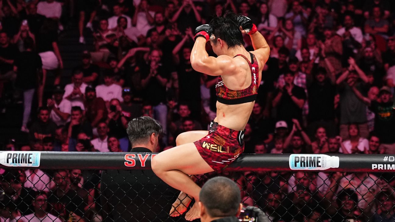 文化和政治 文化和政治